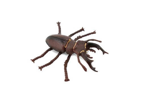 Stag beetle rubber insect - stag, beetle,