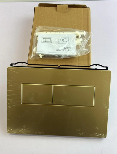 Toilet dual flush - toilet, plate
