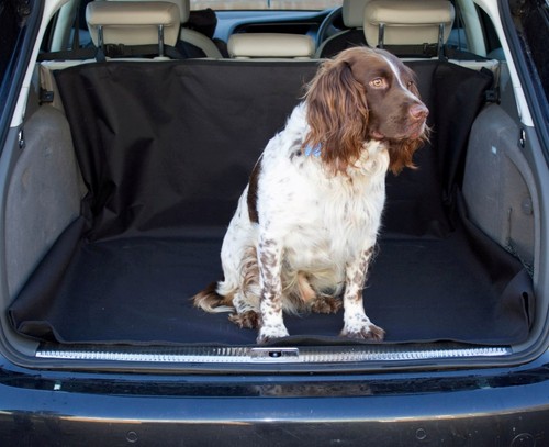 Fits daewoo matiz car boot - daewoo,