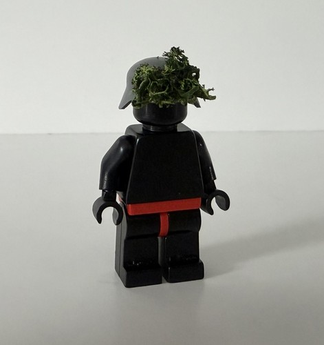 Custom made lego - custom,