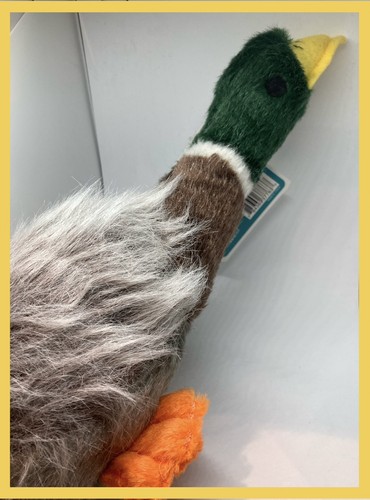 Mallard duck dog toy - duck,