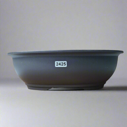 Plastic bonsai training pot - bonsai,
