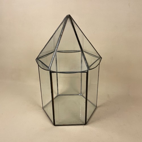 Vintage clear glass - vintage, terrarium