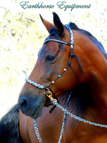 Sliding chinstrap brow - sliding, v