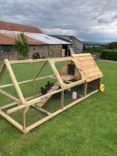 Large chicken coop and run - chicken,