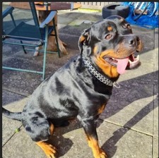 Heavy Duty Double Thickness