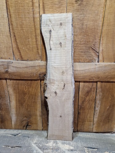 Live edge holly - holly, slab