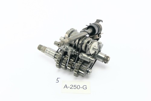 Aprilia 125 rotax - rotax, 123