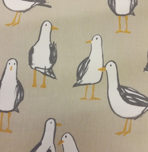 Clarke and - and, laridae