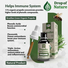 Brazilian Organic Green