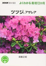 Azalea, Azalea (NHK Hobby