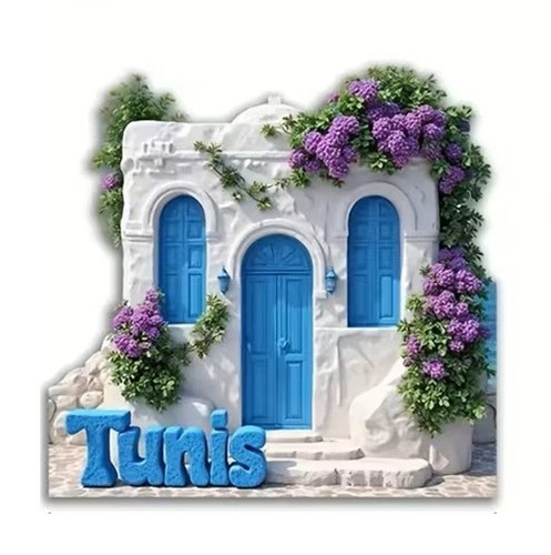 Fridge magnet tunisia themed - fridge,