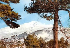Cartolina Catania Etna Panorama del cratere centrale da Monte Densa 1967