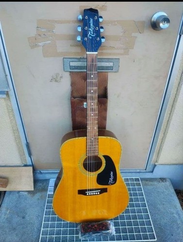 Takamine 200 series - 200,
