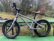 Early Rider Belter 16