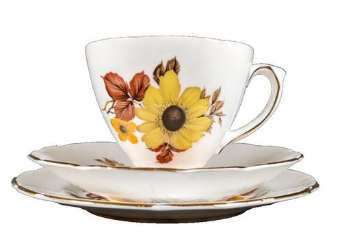 Vintage delphine cup saucer - delphine,