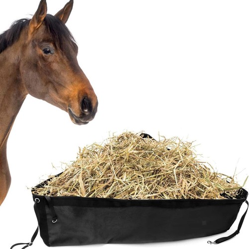 Horse corner feeder animal - horse,