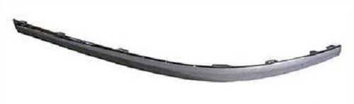 Rear bumper moulding - moulding, chrome