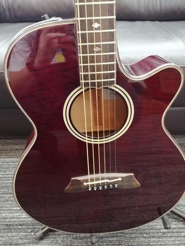 Takamine npt 110 - takamine, sycamore