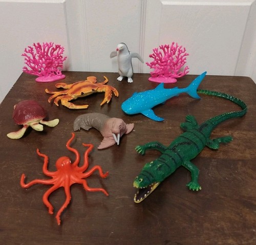 Marine sea life - marine,