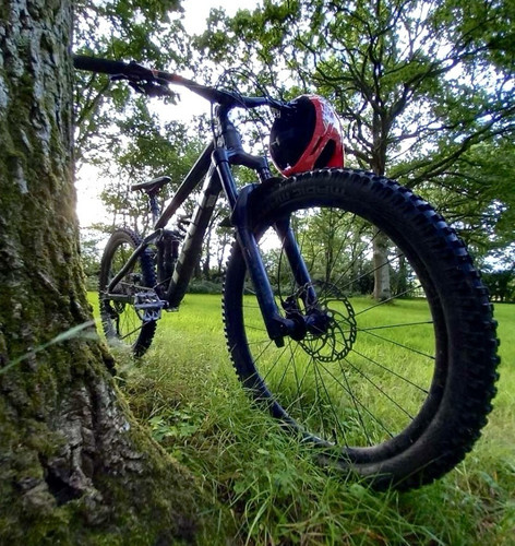 Trek remedy - , 8
