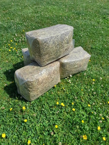 Top quality hay bale - ##top,