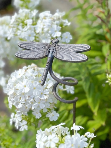 Dragonfly plant support - dragonfly,