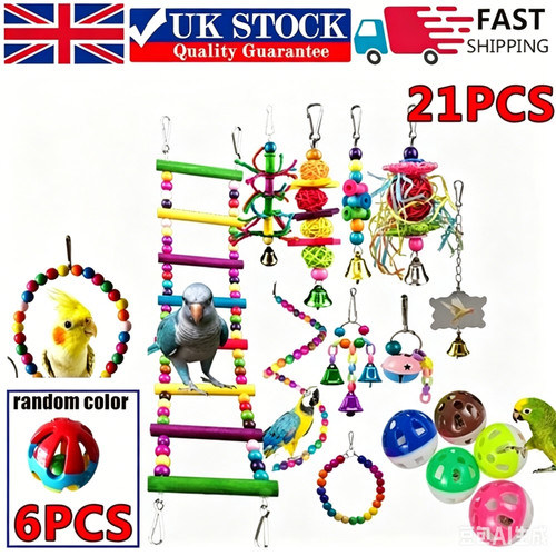 Pack parrot toys set - parrot, metal