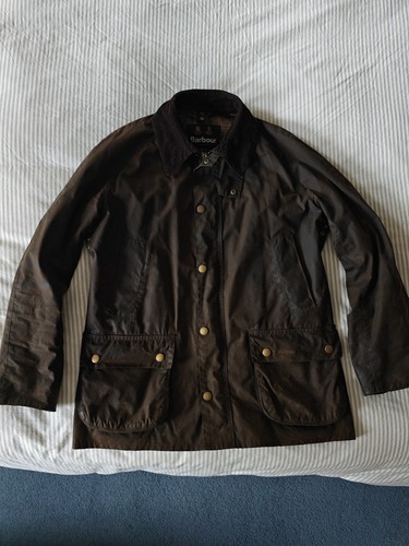 Barbour ashby sage green men - sage,