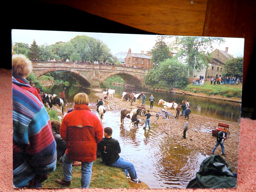 Washing horses appleby fair - washing,
