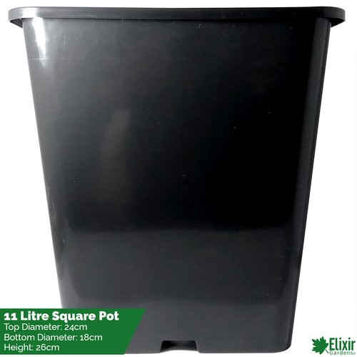 Square plant pot litre - 11,