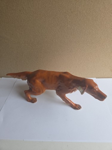 Lomonosov irish red - lomonosov, setter