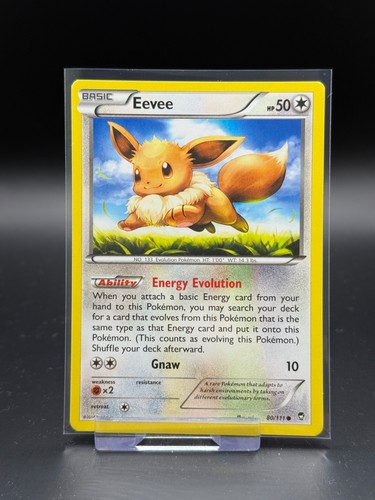 Eevee 111 furious - 80/111, fists