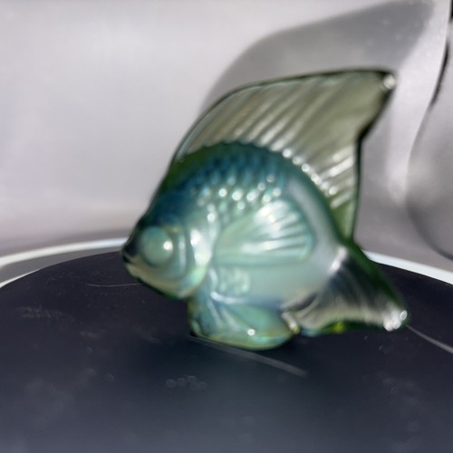 Lalique angel fish antinea - lalique,