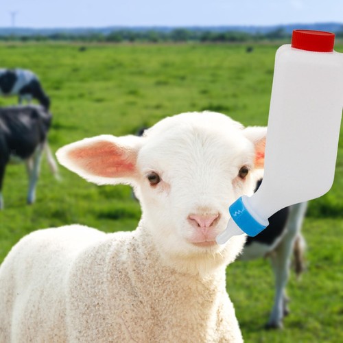 Lamb milk bottle with scale - bottle,