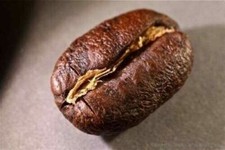 JAMAICAN BLUE MOUNTAIN COFFEE