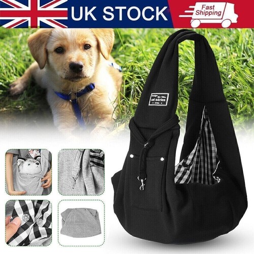 Pet dog cat puppy - cat,