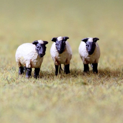 Gauge sheep x20 wwscenics - gauge,
