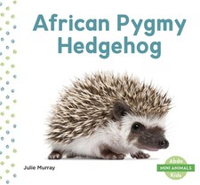 African Pygmy Hedgehog (Mini