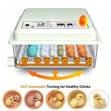 Digital 36-Egg Incubator
