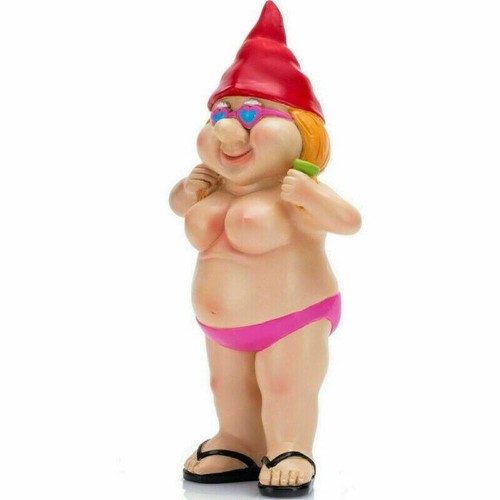 Cheeky funny garden gnome - cheeky,