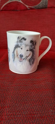 Staffordshire ashley collie - staffordshire,