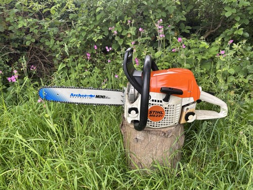 Stihl 231 serviced - stihl,