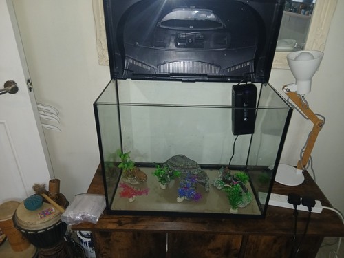 Glass 80l freshwater aquarium - glass,