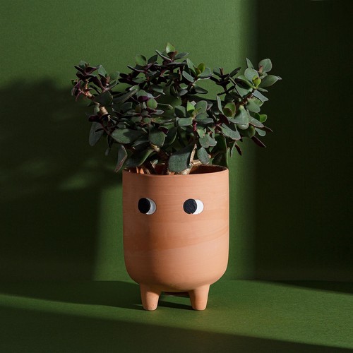 Side eyes terracotta - terracotta, planter