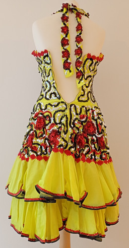 Latin dance dress - dance,