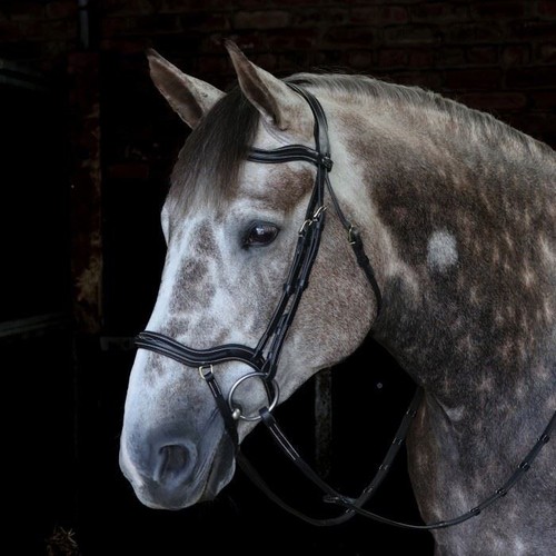 John whitaker stockholm - john,