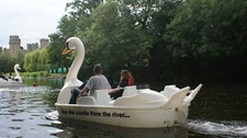 Swan Pedalo Pedal Boat for Annual Hire