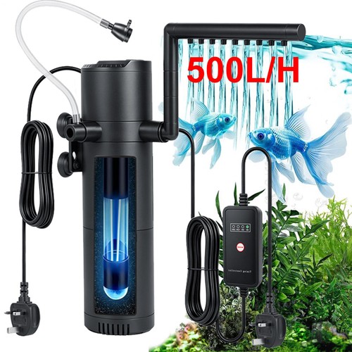 Internal aquarium fish - aquarium,