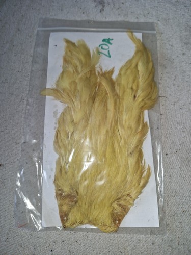 Hen cape fly tying - hen,